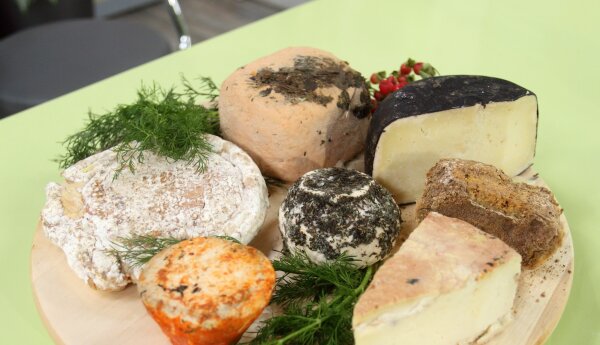 Poradnik Rozmów w toku: Wina i sery…